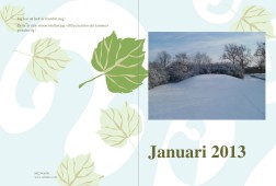 dahlbeck-patrik - januari-2013/årsbok