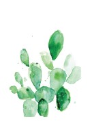 Cactus Watercolor Art | Create your own poster
