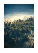 Misty Forest | Create your own poster