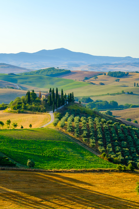 Tuscany Landscape View