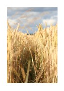 Wheat Field | Create your own poster