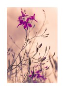 Purple Flowers Close-Up | Create your own poster