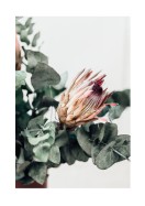 Pretty Dried Pink Flower | Create your own poster