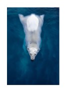 Swimming Polar Bear | Create your own poster