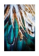 Colorful Feathers | Create your own poster