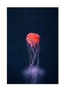 Vibrant Jellyfish In The Ocean | Create your own poster