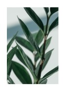 Green Plant Close-up | Create your own poster