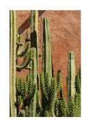 Cactus Plant In The Sun | Create your own poster