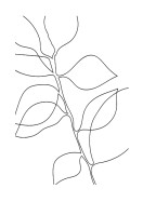 Botanical Line Art | Create your own poster