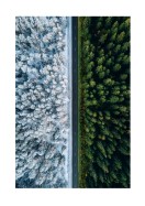 A Forest In Summer And Winter | Create your own poster